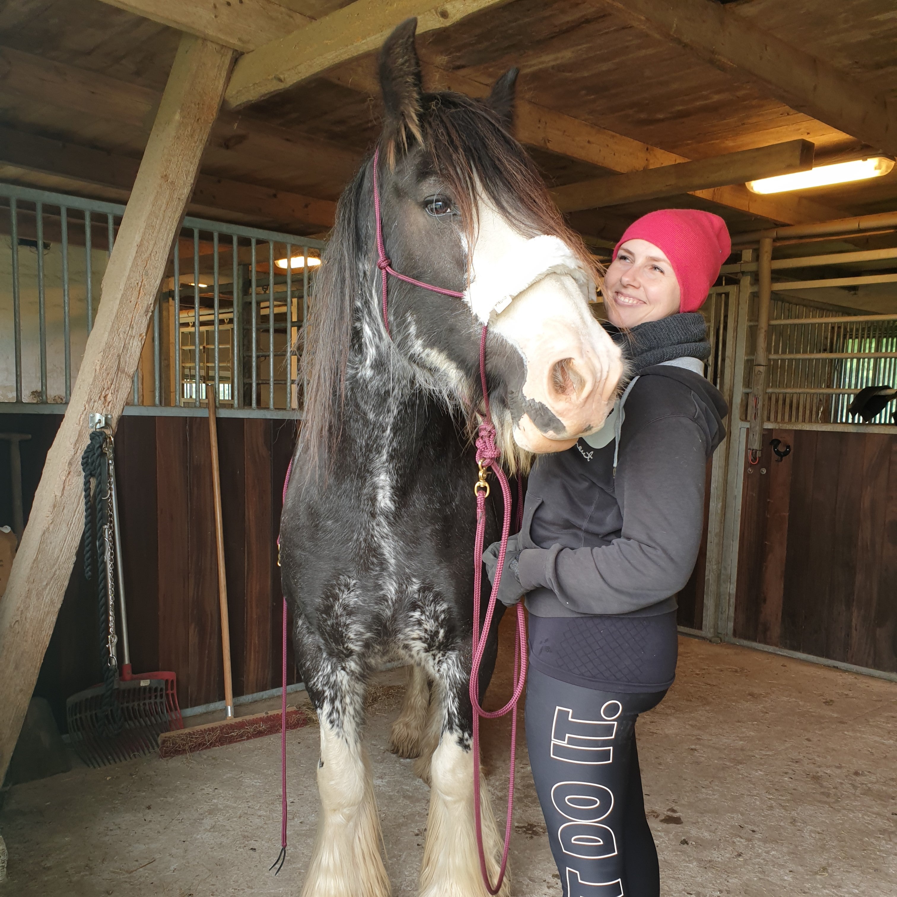 Undervisning i horsemanship og klikkertræning på alternativ rideskole i nordsjælland. Styrk båndet til din hest.