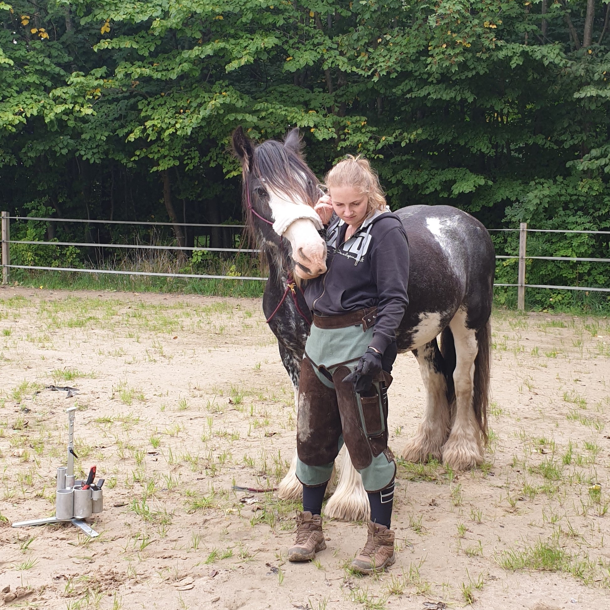 hovbeskæring og hovtrimning af barfodshest i nordsjælland. horsemanship.