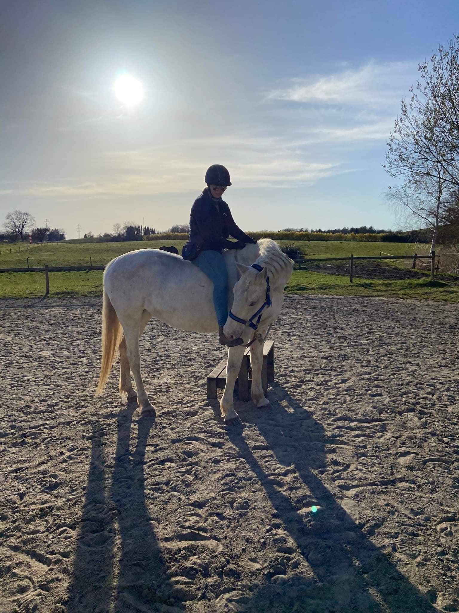 Undervisning i horsemanship og klikkertræning på alternativ rideskole i nordsjælland.